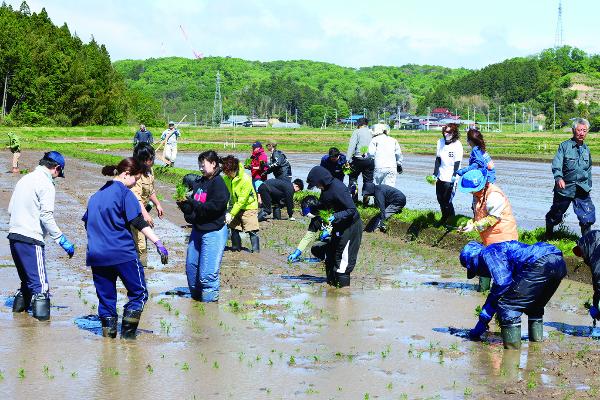田植えで深まる地域の輪