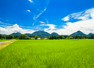 手前に畑が広がり奥に山がのぞく画像