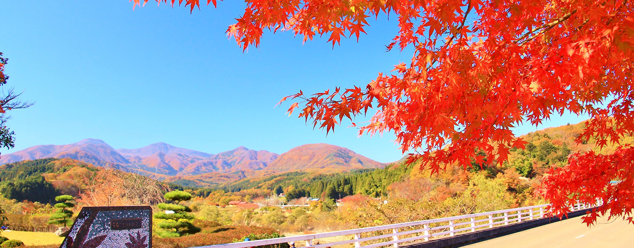 紅葉と山々と青空の画像