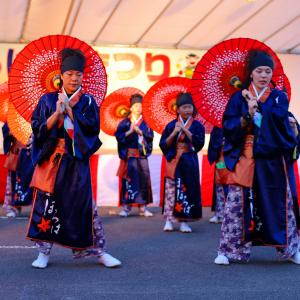 紺色の着物を着て赤い和傘を手に並んで立つ女性達の写真