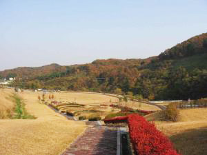 広々とした芝生と、紅葉の山々が見える公園の写真