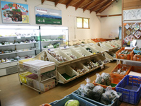 店内に設置されたかごや棚に新鮮な野菜が並ぶ直売所の写真