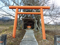 朱色の鳥居が立つ、祠入り口正面の写真