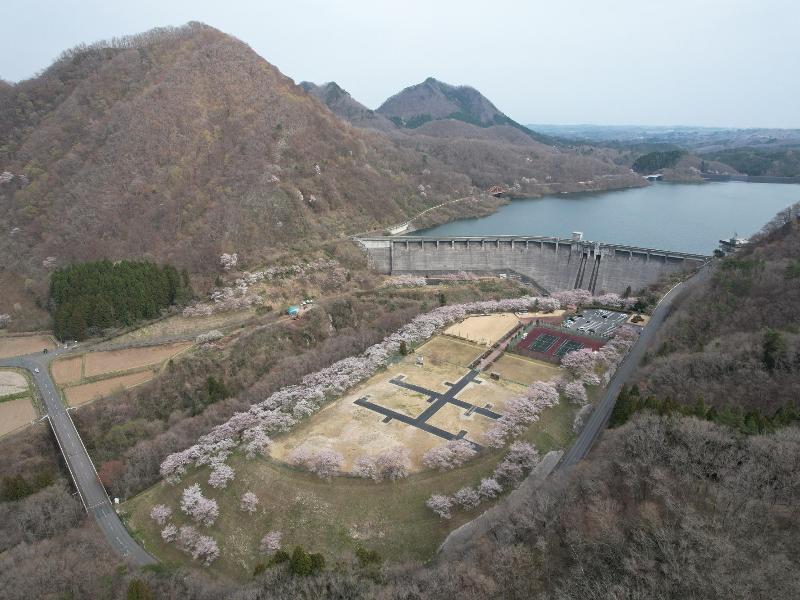 紅葉に染まった木々とブランコが並ぶ公園の写真