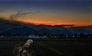 夕焼けと黒い山々、野原を背景に左側にススキが立っている写真