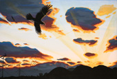 雲がたくさん浮かんでいるオレンジ色の夕焼けの空に鳥が飛んでいる絵画