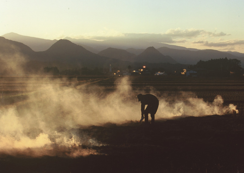 夕暮れの中畑作業をしている人の前に煙が上がっている写真