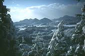 青空と雪の積もった木々や山々を写した写真