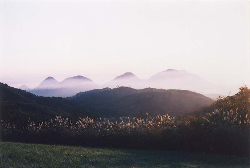 靄のかかった山々を背景に、太陽の光に照らされる草花を写した写真