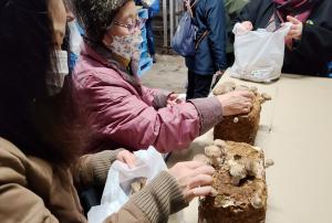 観光PRバスツアーで菌床しいたけを収穫する参加者の写真