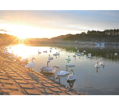 たいわデイズ　ものがたりは日常で生まれる　　　－令和8年3月号