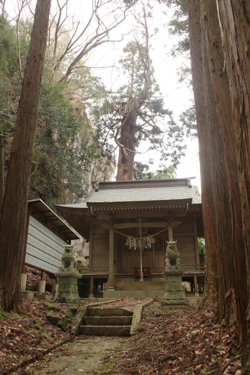 左右に高い木々があり、拝殿が正面にある写真