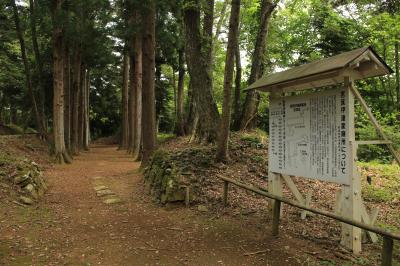 右に宮床伊達家廟所案内板、左に杉の並木がある写真