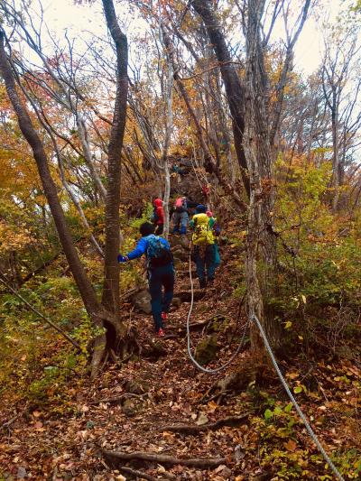 紅葉のなか、リュックを背負った人々がロープを頼りに山頂を目指して登っている写真